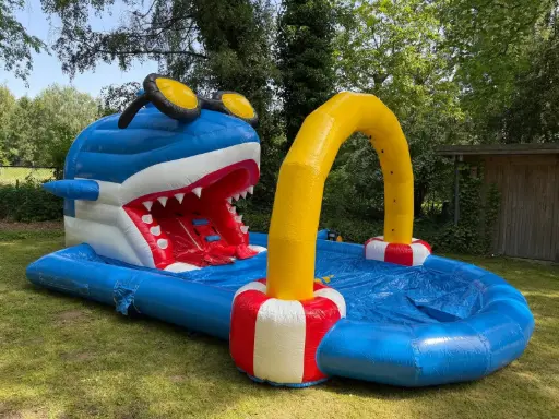 Shark with pool